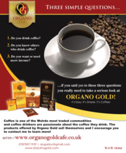 Local self-employed ORGANO GOLD Distributor opportunities in Glasgow