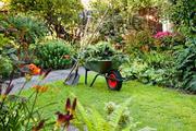 Gardening Contractor in Chelmsford