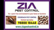9078 Cockroach Pest Control Upto 30% Discount | Bed Bugs Pest service